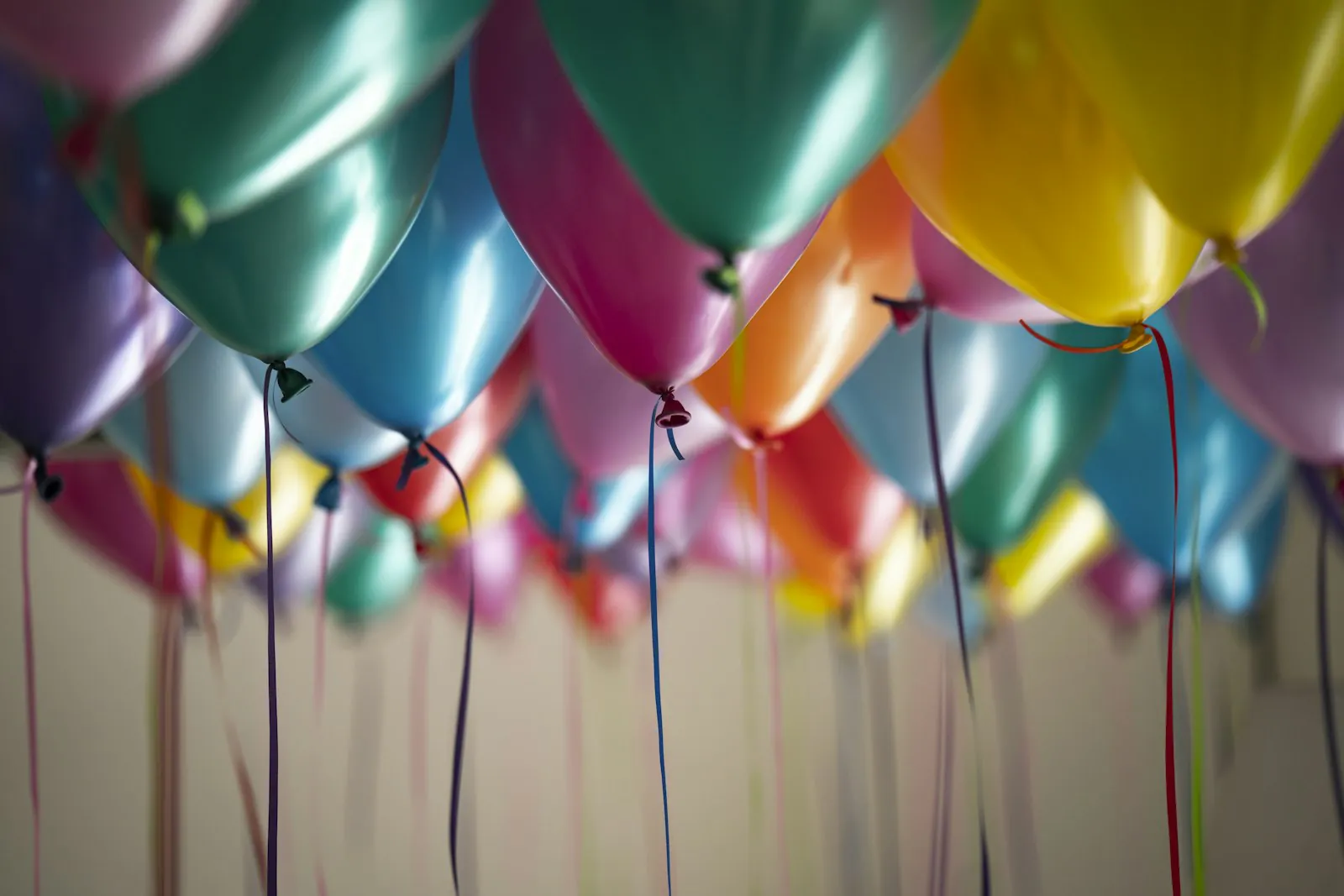Graduates celebrating at a graduation party