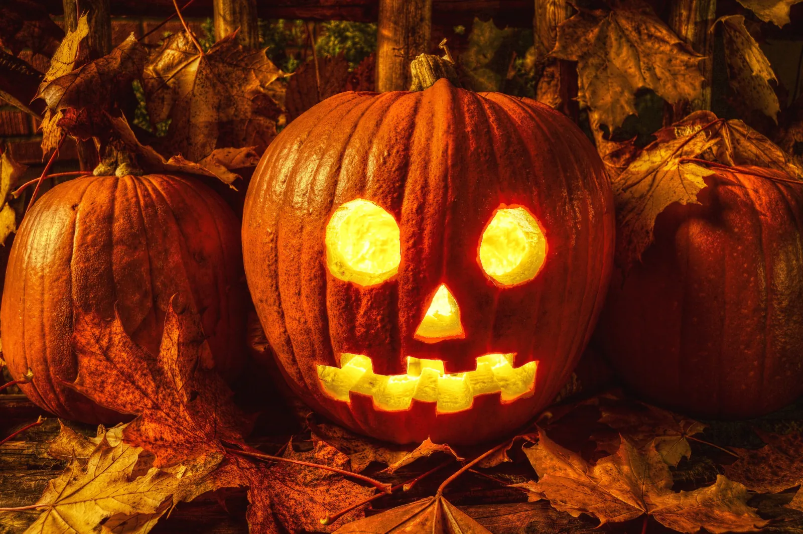 Photo Booth Software for Haunted Attractions 1 Glowing jack-o-lanterns among autumn leaves at a Halloween haunted attraction